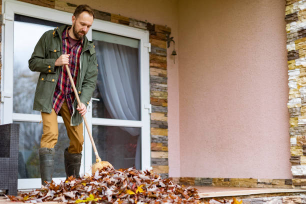 Best Basement Cleanout Services  in Mart, TX